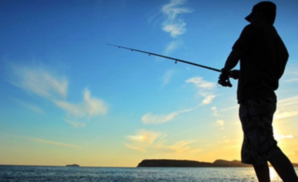 Go Fishing In Ibiza - Estela Exclusive Homes