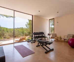 luxury home gym