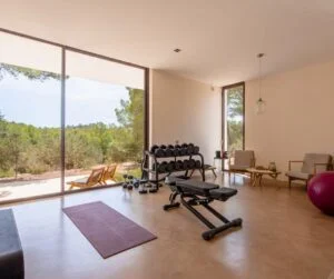luxury home gym