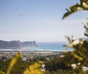 Ibiza panoramic behind tree.