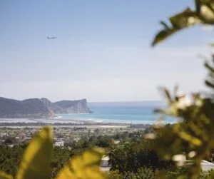 Ibiza panoramic behind tree. 
